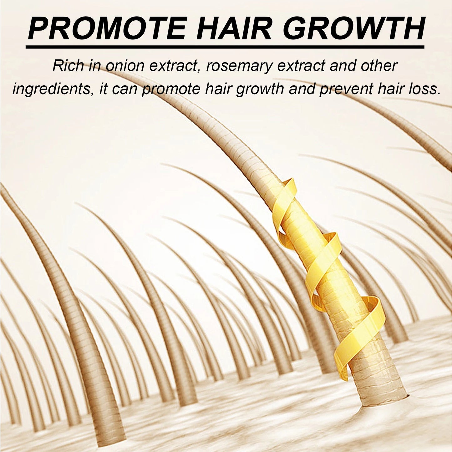 Biotin Rosemary Shampoo Care Set Shampoo Conditioner For All Hair Types
