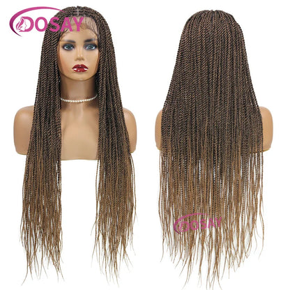 Twist Braided Wigs Box Braided Lace Front Wig